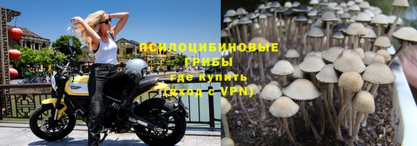 МДПВ Богданович