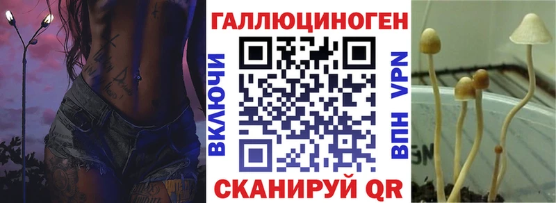 Псилоцибиновые грибы Psilocybine cubensis  Купить закладки  Белогорск 